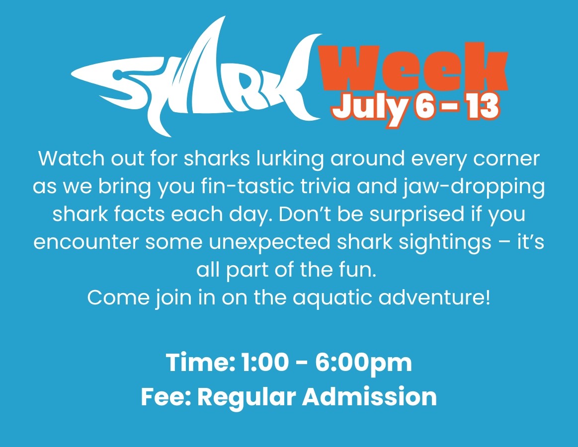 2025 JAC Shark Week (3.875 x 3 in)